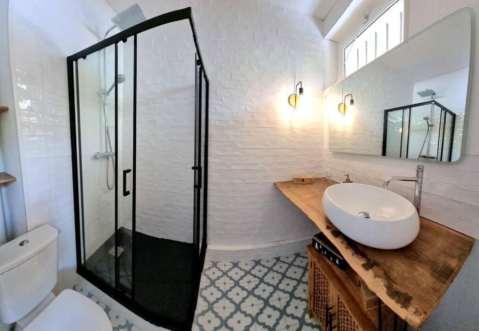 T2 Cosy & Garden - Hypercentre - Gare - Wifi Lejlighed Toulouse Eksteriør billede